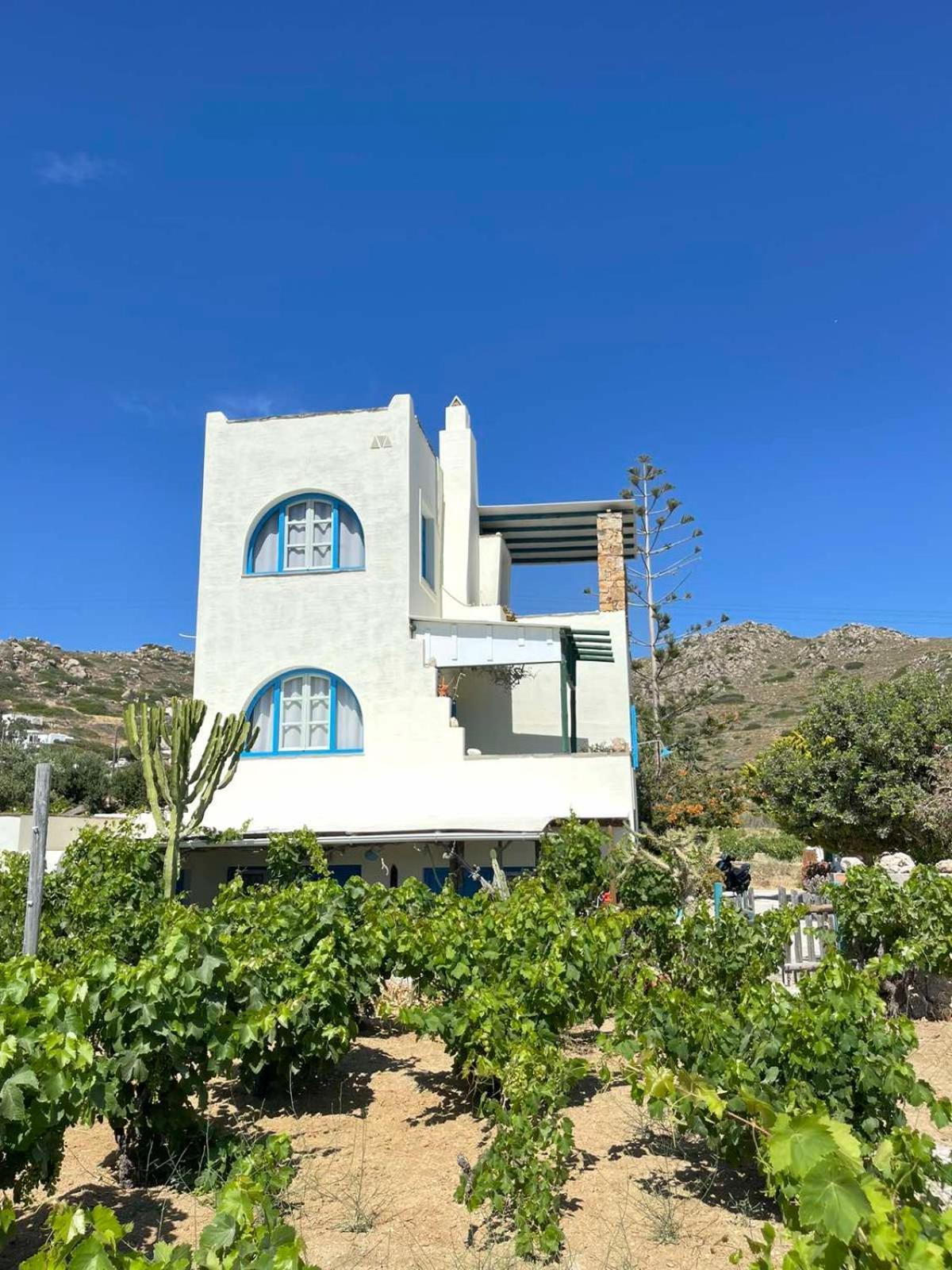 Matina'S Vineyard Hotel Mikri Vigla Buitenkant foto